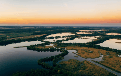 Stawy Milickie i Dolina Baryczy